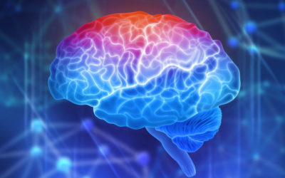 What You Need to Know About the Autonomic Nervous System (and How to Keep It Healthy)