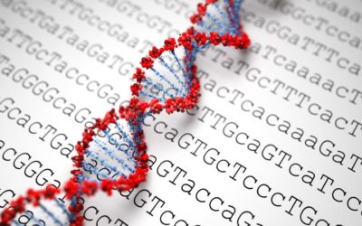 4 Expert Weight Loss Tips When You Naturally Retain Fat